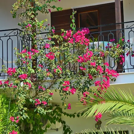 Polytimi * アギア・パラスケヴィ